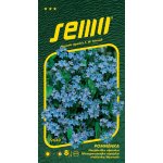 Pomněnka lesní modrá 0,2 g – Hledejceny.cz