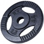 Gorilla Sports litina 2,5 kg 185 mm – Hledejceny.cz