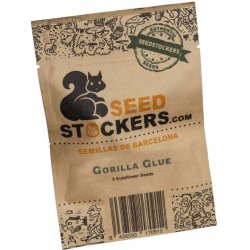 Seedstockers Gorilla Glue AUTO semena neobsahují THC 5 ks