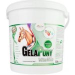 Gelapony VitaMin 5,4 kg – Zbozi.Blesk.cz