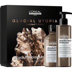 L'Oréal Professionnel Serie Expert Absolut Repair Molecular Duo sada pre poškodené vlasy šampon 300 ml + sérum 250 ml