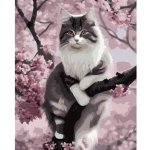 Maaleo 22783 Malování podle čísel Kočka 40 x 50 cm – Sleviste.cz