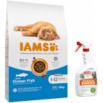 IAMS Advanced Nutrition Kitten s mořskou rybou 10 kg – Hledejceny.cz