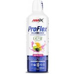 Amix ProFlex Collagen + UC-II Liquid garden fruit 1000 ml – Hledejceny.cz