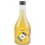 Alce nero BIO Jablečný ocet 5%, Nefiltrovaný, 500 ml – Hledejceny.cz