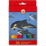 Koh i Noor 3555/36 pastelky Mýval dlouhé – Zbozi.Blesk.cz