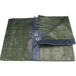 Extol Craft 11114 plachta 6 x 10 m 80 g/m² – Zboží Dáma