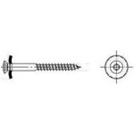 Coleman Klempířský vrut - 80x4,5 nerez TORX EPDM podl. SIBAK45080AA – Hledejceny.cz
