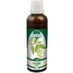 Naděje Habr tinktura z pupenů 50 ml – Hledejceny.cz