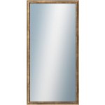DANTIK TRITON 50 x 100 cm zlatá 2142 – Hledejceny.cz
