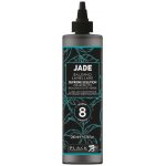 Black Jade 8sec repairing conditioner 200 ml – Zboží Dáma