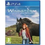 Windstorm: Start of a Great Friendship – Zboží Dáma