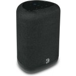 Bluesound Pulse Flex 2i – Zboží Mobilmania