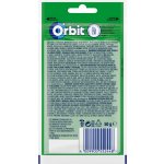 Wrigley's Orbit Spearmint 36 ks 50g – Zboží Dáma