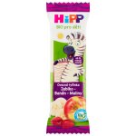 HiPP BIO Oplatka Banán-Jablko-Maliny 23 g – Zboží Dáma
