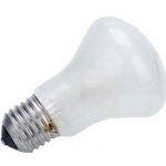 Elinchrom Elinchrom Einstellampe 196V/100W E 27 E23002 světla – Hledejceny.cz