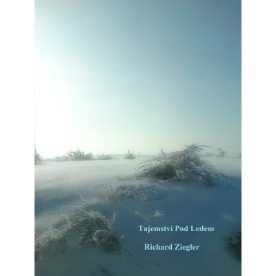 Tajemství pod ledem - Richard Ziegler