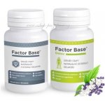 OKG Factor Base Detox 60 tablet – Hledejceny.cz