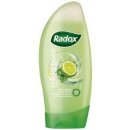 Radox Feel Refreshed Feel Energised sprchový gel Keylime & Peppermnit 250 ml