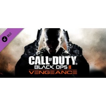 Call Of Duty: Black Ops 2 Vengeance