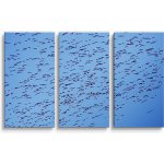 Sablio Obraz - 3-dílný Hejno ptáků - 120x80 cm – Hledejceny.cz