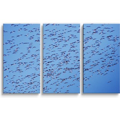 Sablio Obraz - 3-dílný Hejno ptáků - 120x80 cm – Hledejceny.cz