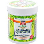 Palacio konopná mast regenerační, 125 ml – Sleviste.cz