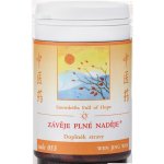 TCM Herbs Závěje plné naděje 100 tablet – Hledejceny.cz