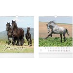 nástěnný malý Horses 1061735 2027 – Hledejceny.cz