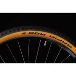 Schwalbe RAPID ROB 27,5x2,25 – Zboží Dáma