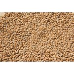 PROFIZOO Pšenice 4 kg – Zboží Dáma