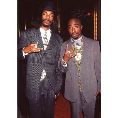 Plakát, Obraz - Snoop Dogg & Tupac - Suits, (59.4 x 84.1 cm) – Hledejceny.cz