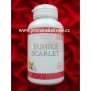 Queen Eunike Scarlet 90 tablet