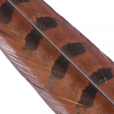 Hends Ocasní Pero z Bažanta Pheasant Tail Rusty – Hledejceny.cz