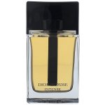 Christian Dior Intense 2011 parfémovaná voda pánská 100 ml – Zboží Mobilmania