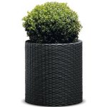 Keter 229123 květináč – Hledejceny.cz