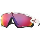 Oakley Jawbreaker OO9290 05