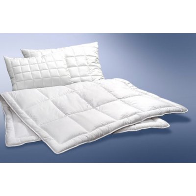 Ložnice21. Vyvařovací set Clinisan polštář 70x90 zip vak 1000 g 140x 200 300 g/m2 300g – Hledejceny.cz