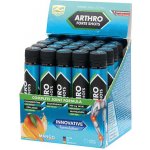 Z Konzept Arthro Forte shots mango 20 ampulí – Hledejceny.cz