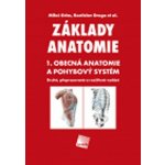 Základy anatomie 1 - Rastislav Druga, Miloš Grim – Hledejceny.cz