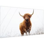 Obraz - Skotská kráva, jednodílný 120x70 cm – Hledejceny.cz