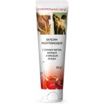 Záchranný Kruh prohřívající balzám s husím sádlem, skořicí a kaspicinem 100 ml – Hledejceny.cz