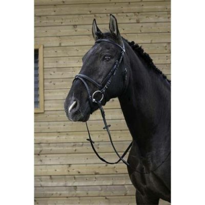 Riding World Kožená uzdečka černá – Zboží Dáma