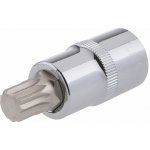 Nástavec šroubovací FESTA CrV 1/2" XZN M12 – Zboží Mobilmania