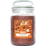 Airpure Gingerbread 510 g – Zboží Dáma
