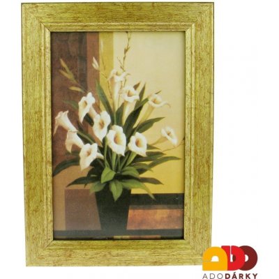 Obrázek Anturie 21 cm – Zbozi.Blesk.cz