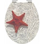 Eisl Red Starfish 80541RedStarfish – Hledejceny.cz