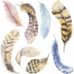 Crearreda Nálepka na stěnu dreamcatcher, 31 × 31 cm 54111 – Zboží Dáma