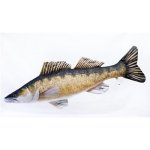 Gaby Polštář Candát Obecný 50cm – Hledejceny.cz