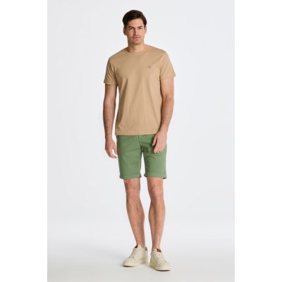 GANT ALLISTER SUNFADED shorts zelená – Zboží Mobilmania